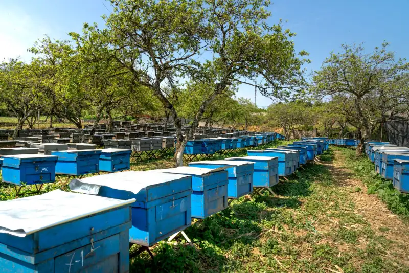 随州地区花岗岩在园林景观工程中的选材要点与搭配方案